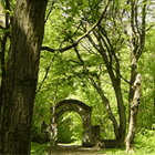 Das Tor zum Zauberwald